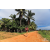 Team 36 / Raid Amazones Sri Lanka 2018 - J5 Bike and Run
