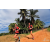Team 45 / Raid Amazones Sri Lanka 2018 - J5 Bike and Run