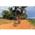 Team 18 / Raid Amazones Sri Lanka 2018 - J5 Bike and Run