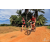 Team 13 / Raid Amazones Sri Lanka 2018 - J5 Bike and Run