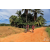 Team 37 / Raid Amazones Sri Lanka 2018 - J5 Bike and Run