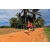 Team 61 / Raid Amazones Sri Lanka 2018 - J5 Bike and Run