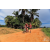 Team 104 / Raid Amazones Sri Lanka 2018 - J5 Bike and Run