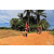 Team 125 / Raid Amazones Sri Lanka 2018 - J5 Bike and Run