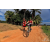Team 42 / Raid Amazones Sri Lanka 2018 - J5 Bike and Run