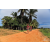 Team 24 / Raid Amazones Sri Lanka 2018 - J5 Bike and Run