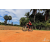 Team 117 / Raid Amazones Sri Lanka 2018 - J5 Bike and Run