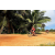 Team 62 / Raid Amazones Sri Lanka 2018 - J5 Bike and Run