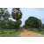 Raid Amazones Sri Lanka 2018 - J5 Bike and Run