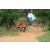 Raid Amazones Sri Lanka 2018 - J5 Bike and Run
