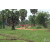 Raid Amazones Sri Lanka 2018 - J5 Bike and Run