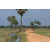 Raid Amazones Sri Lanka 2018 - J5 Bike and Run