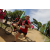 Team 34 / Raid Amazones Sri Lanka 2018 - J5 Bike and Run