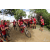 Team 114 / Raid Amazones Sri Lanka 2018 - J5 Bike and Run