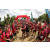 Raid Amazones Sri Lanka 2018 - J5 Bike and Run