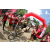 Team 139 / Raid Amazones Sri Lanka 2018 - J5 Bike and Run