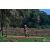 Team 54 / Raid Amazones Sri Lanka 2018 - J5 Bike and Run