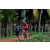 Team 12 / Raid Amazones Sri Lanka 2018 - J5 Bike and Run