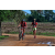Team 66 / Raid Amazones Sri Lanka 2018 - J5 Bike and Run