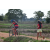 Team 66 / Raid Amazones Sri Lanka 2018 - J5 Bike and Run