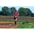 Team 80 / Raid Amazones Sri Lanka 2018 - J5 Bike and Run