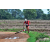 Team 11 / Raid Amazones Sri Lanka 2018 - J5 Bike and Run