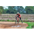 Team 11 / Raid Amazones Sri Lanka 2018 - J5 Bike and Run