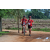 Team 49 / Raid Amazones Sri Lanka 2018 - J5 Bike and Run