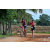Team 78 / Raid Amazones Sri Lanka 2018 - J5 Bike and Run