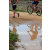 Raid Amazones Sri Lanka 2018 - J5 Bike and Run