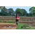 Team 150 / Raid Amazones Sri Lanka 2018 - J5 Bike and Run