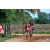Team 34 / Raid Amazones Sri Lanka 2018 - J5 Bike and Run