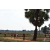 Raid Amazones Sri Lanka 2018 - J5 Bike and Run