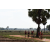 Raid Amazones Sri Lanka 2018 - J5 Bike and Run