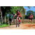 Team 36 / Raid Amazones Sri Lanka 2018 - J5 Bike and Run