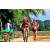 Team 109 / Raid Amazones Sri Lanka 2018 - J5 Bike and Run