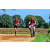 Team 46 / Raid Amazones Sri Lanka 2018 - J5 Bike and Run