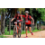 Team 71 / Raid Amazones Sri Lanka 2018 - J5 Bike and Run
