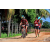 Team 101 / Raid Amazones Sri Lanka 2018 - J5 Bike and Run