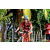 Team 101 / Raid Amazones Sri Lanka 2018 - J5 Bike and Run