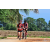 Team 37 / Raid Amazones Sri Lanka 2018 - J5 Bike and Run