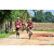 Team 02 / Raid Amazones Sri Lanka 2018 - J5 Bike and Run