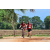 Team 77 / Raid Amazones Sri Lanka 2018 - J5 Bike and Run