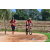Team 25 / Raid Amazones Sri Lanka 2018 - J5 Bike and Run