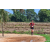 Team 141 / Raid Amazones Sri Lanka 2018 - J5 Bike and Run