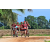 Team 121 / Raid Amazones Sri Lanka 2018 - J5 Bike and Run