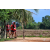 Team 20 / Raid Amazones Sri Lanka 2018 - J5 Bike and Run