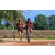 Team 27 / Raid Amazones Sri Lanka 2018 - J5 Bike and Run