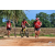 Team 118 / Raid Amazones Sri Lanka 2018 - J5 Bike and Run