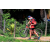 Team 43 / Raid Amazones Sri Lanka 2018 - J5 Bike and Run